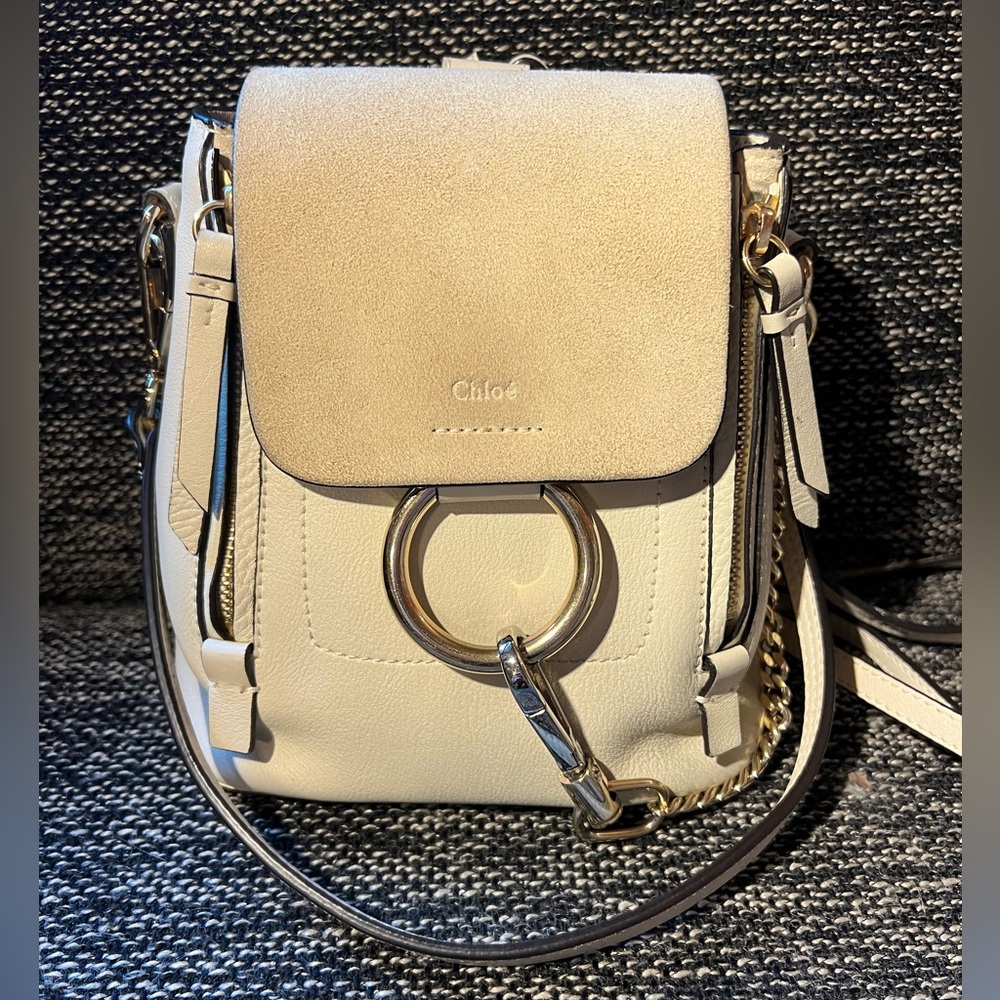 Chloe Faye Mini Backpack